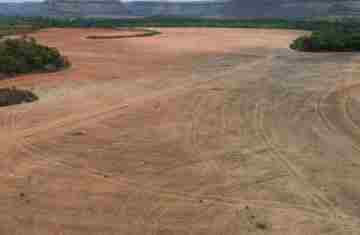  Exportadores de soja deixam acordo sobre desmatamento na Amazônia 